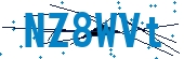 recaptcha